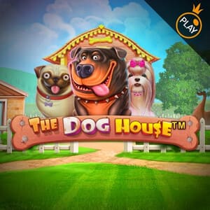 Doghouse BetOnRed